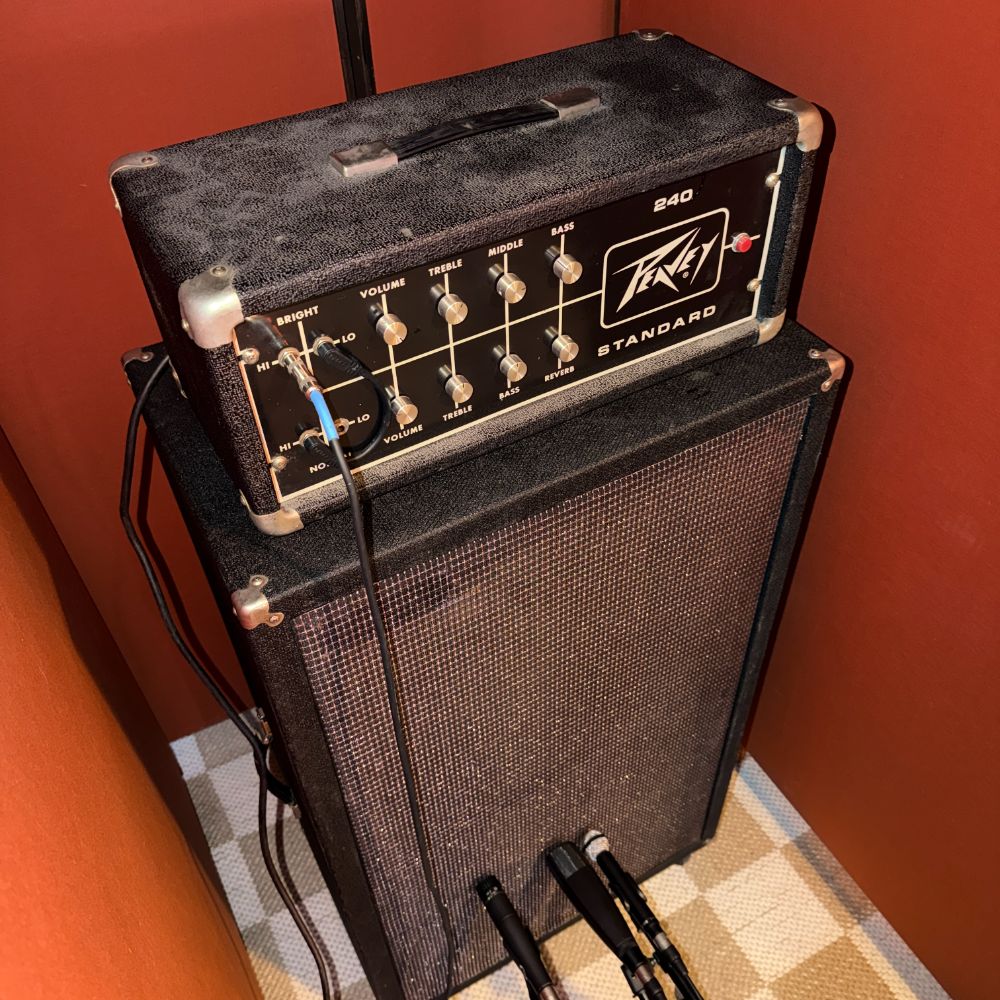 Peavey 240 Standard + 2x15 Sunn Cab NAM Profiles