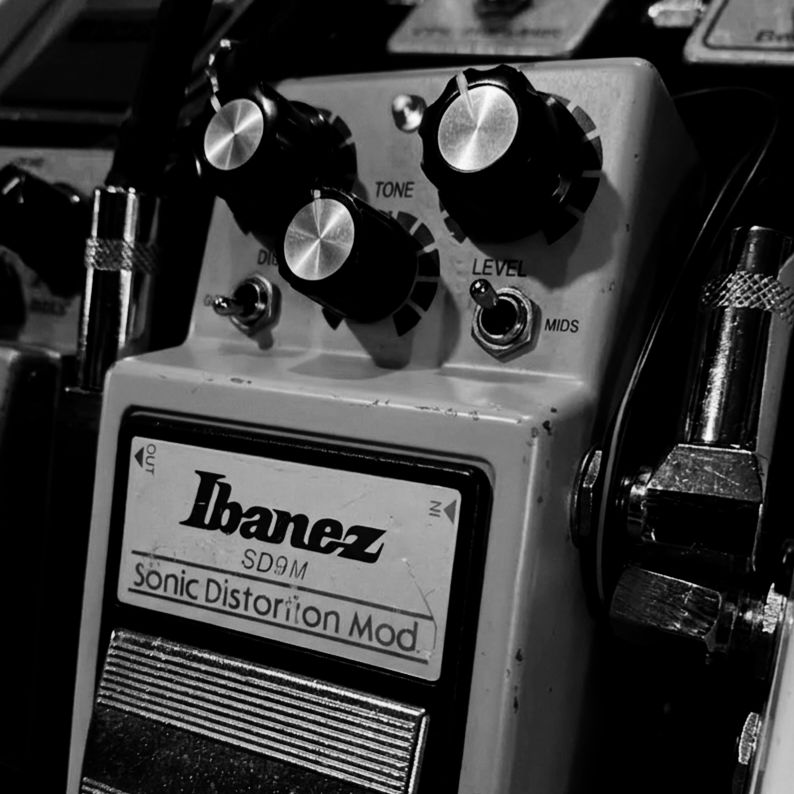 Ibanez SD9 Mod (Tamed Beast Pedal) NAM Profiles by @heaviestmatter