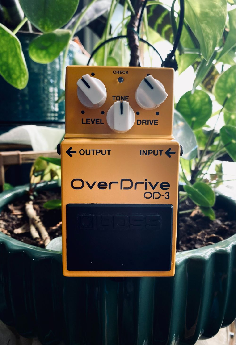 Boss OD-3 SPI Mod (Sokoninaru Settings) NAM Profiles